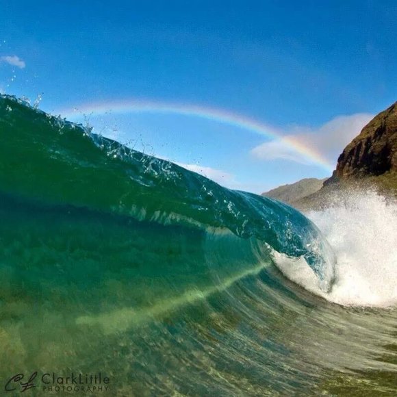 Clearance: Everything Must Go. Make An Offer. Bundle & Save. Buy Now! - Picture 4 of 17